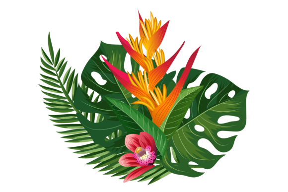 Blooming Tropical Flowers: Summer Nature Design