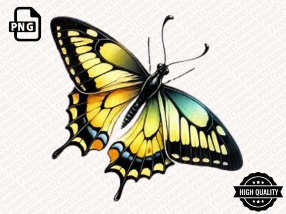 Colorful Butterfly Clipart PNG for Crafts