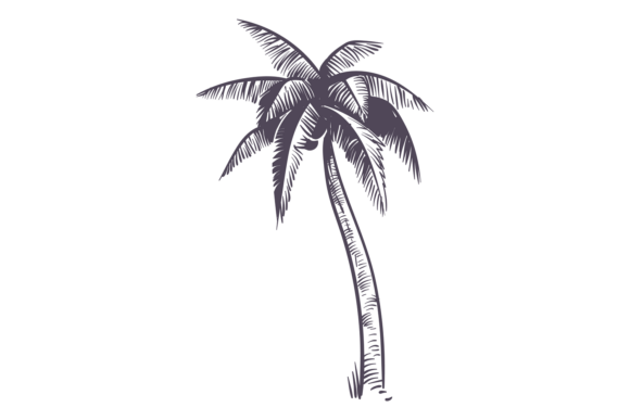 Evaluating the Sketch Palm Tree: A Hand-Drawn Tropical Asset for Modern Design