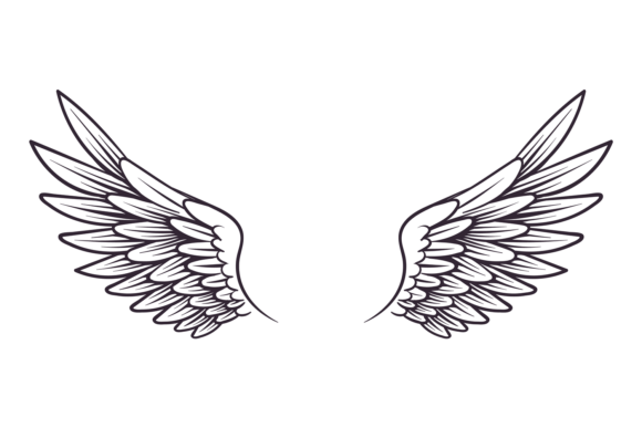 Hand Drawn Wing Sketch Style: Bird and Angel Wings for Creative Design