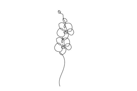 One Line Art Orchid Flowers Branch