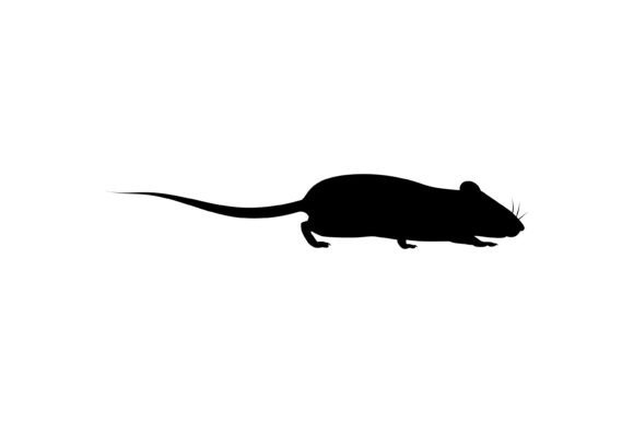 Rat Silhouette Vector Art Guide