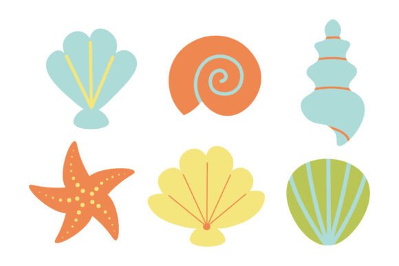 Set with Textured Seashells: Elevating Your Designs with Hand-Drawn Vector Graphics